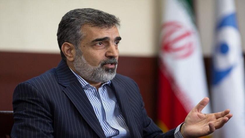 Iranpress: كمالوندي: قمنا بزيادة القدرة على التخصيب بشكل كبير