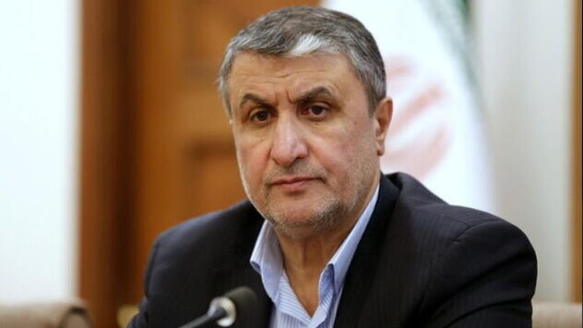 Iranpress: إيران تؤكد على ضرورة الحفاظ على حيادة الوكالة الدولية للطاقة الذرية
