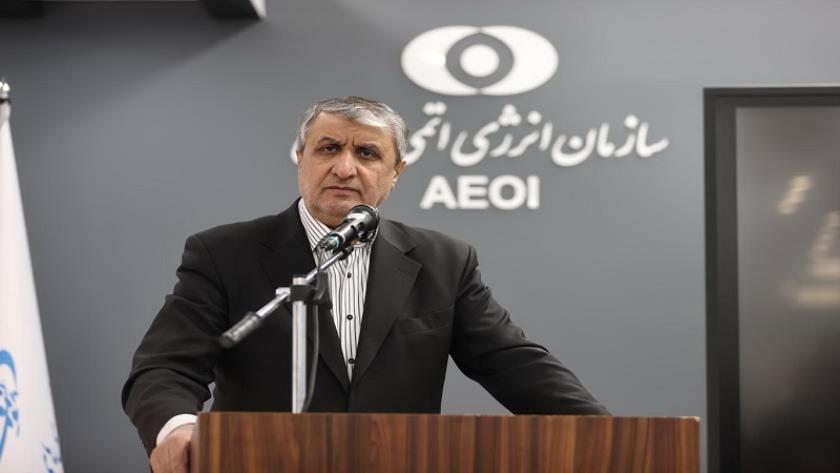 Iranpress: إسلامي: يجب على الوكالة الذرية أن تتجنب التسييس