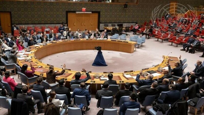 ایران برس: مشادة كلامية بين مندوبي السودان والإمارات خلال جلسة لمجلس الأمن