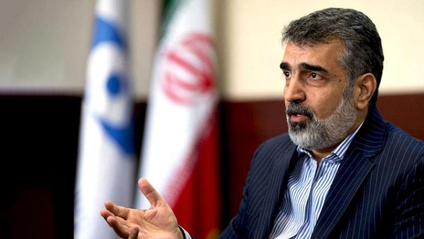 Iranpress: كمالوندي: إيران لا تمتلك سلاحًا نوويًا