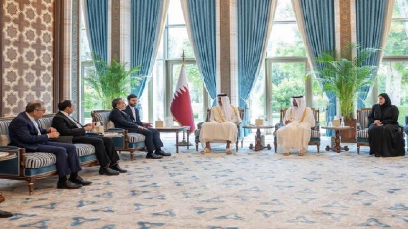 Iranpress: مباحثات بين عراقجی وأمير قطر حول القضايا الإقليمية والدولية