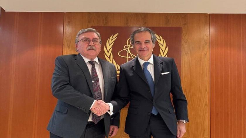 ایران برس: أوليانوف يناقش مع غروسي الملف النووي الإيراني