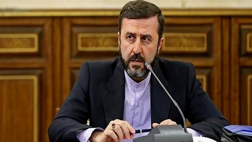 Iranpress: غريب‌آبادي: المدّعون قيادة حقوق الإنسان هم أبرز منتهكي حقوق الشعب الإيراني