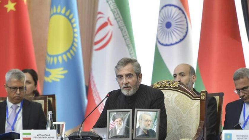 Iranpress: علي باقري: العدوان الـ40 يومًا طال الشجر والبشر في إيران
