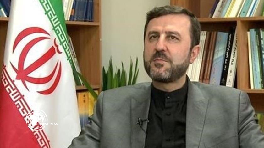 Iranpress: إيران : لا مكان لفرنسا في عملية تطهير مضيق هرمز من الألغام