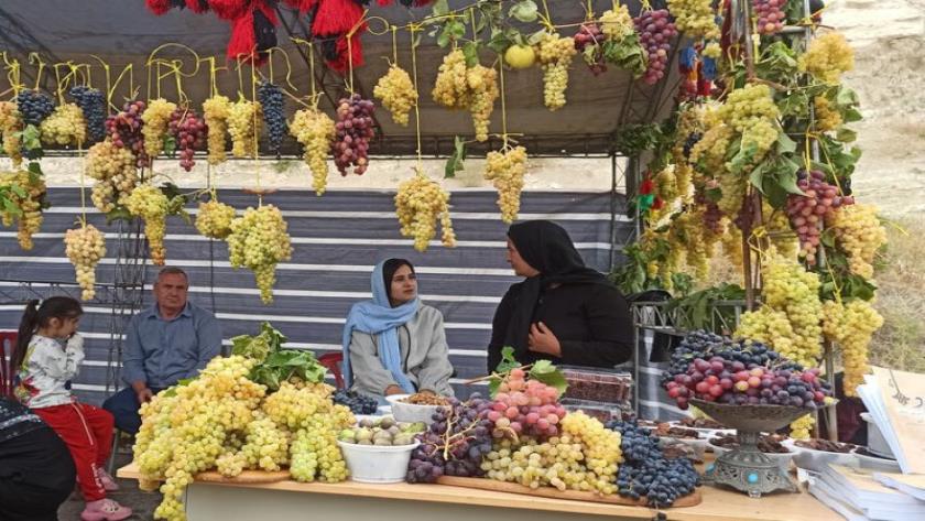 Iranpress: عمدة أروميه: مهرجان ’’العنب‘‘ منطلق لتطوير العلاقات بين أروميه ومدن عالمية 