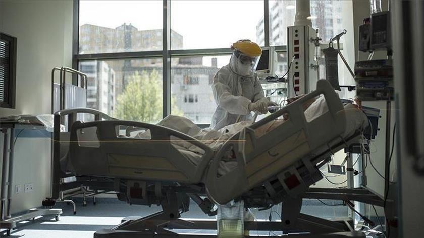 Iranpress:  Brazil surpasses 4 million COVID-19 cases