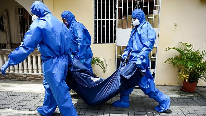 Iranpress: Global death toll from COVID-19 nears 3 million