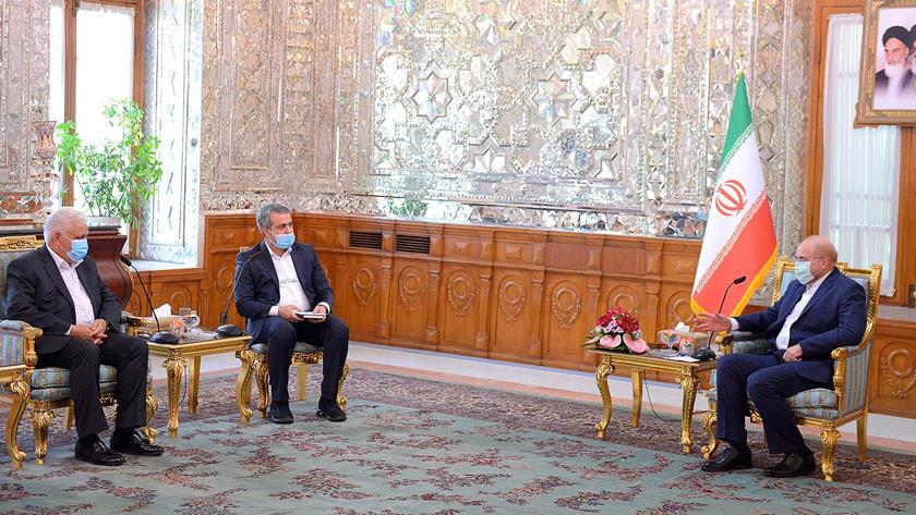 Iranpress: ISIS defeat, result of PMU efforts: Speaker
