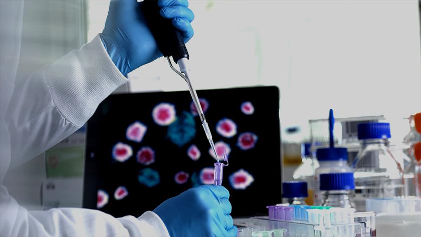 Iranpress: COVID-19 might only affect children in coming years, study suggests