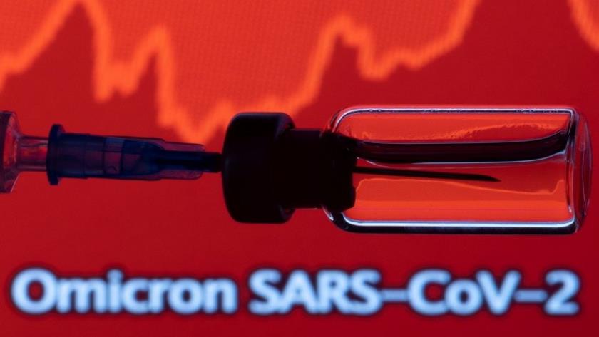 Iranpress: Omicron variant detected in more countries
