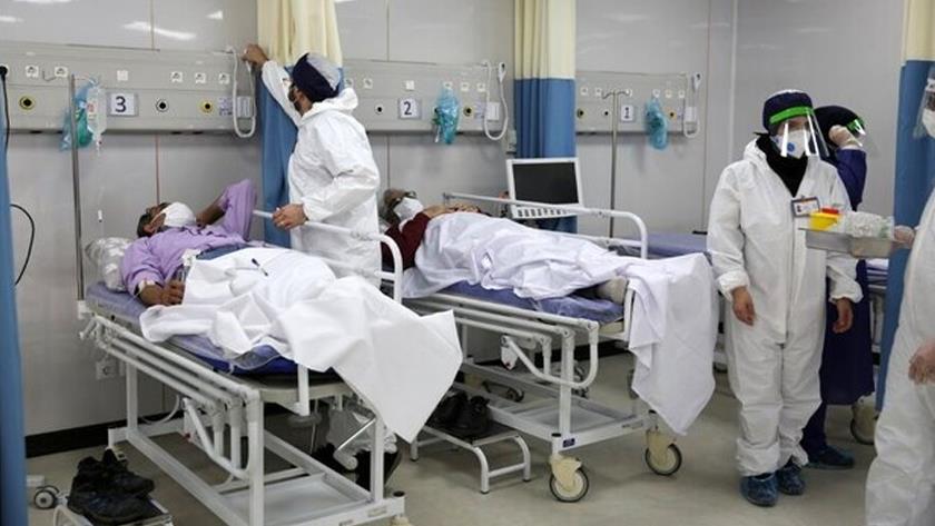 Iranpress: 13 died of COVID in Iran