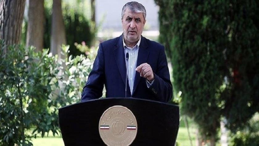 Iranpress: Head of AEOI rejects installation of 100 cameras in Isfahan