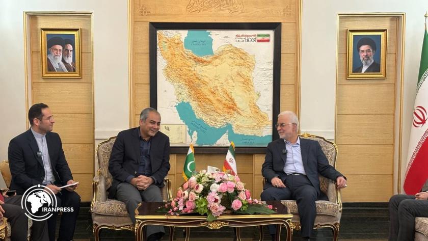 Iranpress: Pakistan Interior Minister Arrives in Tehran 